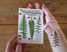 Load image into Gallery viewer, Ferns, Bracken and Ladybirds temporary tattoos by Alice Draws The Line
