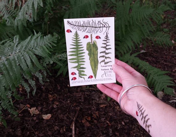 Ferns, Bracken and Ladybirds temporary tattoos by Alice Draws The Line
