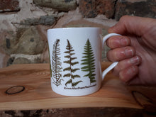 Load image into Gallery viewer, Ferns and Bracken China Mug by Alice Draws The Line