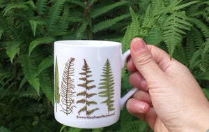 Ferns and Bracken China Mug by Alice Draws The Line, Fern mug, Ferns Gift