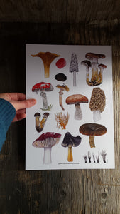 Mushroom art pint, fly agaric wall art, morel mushroom by Alice Draws The line