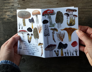 Fungi and Mushrooms Notebook by Alice Draws The Line, A6 with 36 plain pages, recycled paper