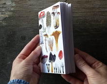 Load image into Gallery viewer, Fungi and Mushrooms Notebook by Alice Draws The Line, A6 with 36 plain pages, recycled paper