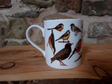 Load image into Gallery viewer, Garden birds China mug by Alice Draws The Line, feathered friends you might find in a garden in the UK