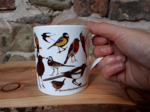 Garden birds China mug by Alice Draws The Line, bird identification mug, introduction to garden birds