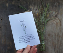 Load image into Gallery viewer, Meadow Grasses Greeting card by Alice Draws The Line, a bouquet of meadow gasses printed on recycled card