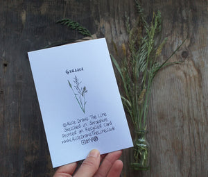 Meadow Grasses Greeting card by Alice Draws The Line, a bouquet of meadow gasses printed on recycled card