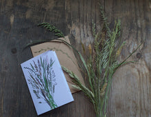 Load image into Gallery viewer, Grasses Greeting card by Alice Draws The Line, a bouquet of meadow gasses printed on recycled card, botanical illustrations