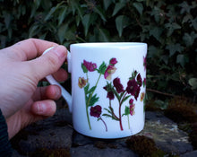 Load image into Gallery viewer, Seasonal Special edition China coffee mug by Alice Draws the line, Hellebore mug, hellebores China tea mug