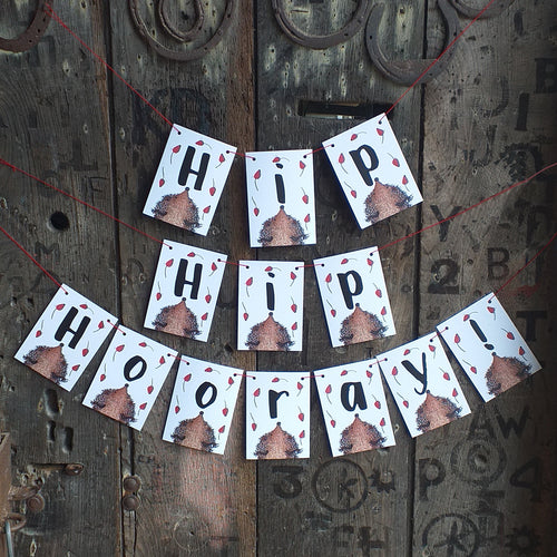 Hip Hip Hooray! Celebratory bunting