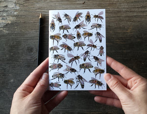 Honey Bees Notebook by Alice Draws The Line, A6 with 36 plain pages, recycled paper