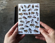 Honey Bees Notebook by Alice Draws The Line, A6 with 36 plain pages, recycled paper