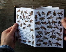 Load image into Gallery viewer, Honey Bees Notebook by Alice Draws The Line, A6 with 36 plain pages, recycled paper