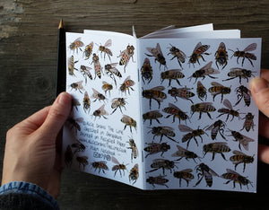 Honey Bees Notebook by Alice Draws The Line, A6 with 36 plain pages, recycled paper