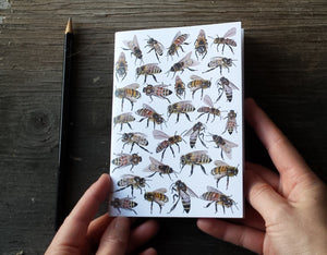 Honey Bees Notebook by Alice Draws The Line, A6 with 36 plain pages, recycled paper