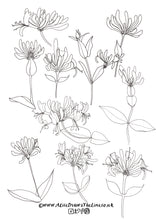 Load image into Gallery viewer, Wild flowers colouring in sheets