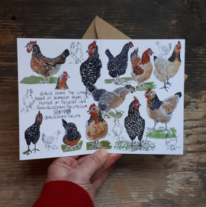 Chickens galore! Greeting Card, Blank inside