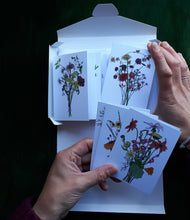 Load image into Gallery viewer, Set of 12 notelets by Alice Draws the Line, illustrated bouquets for each month of the year
