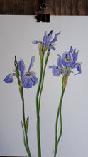 Load image into Gallery viewer, Irises