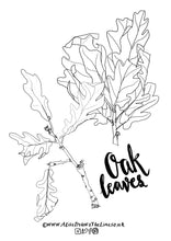 Load image into Gallery viewer, Tree species colouring in sheets