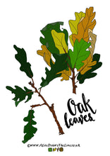 Load image into Gallery viewer, Tree species colouring in sheets