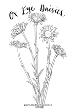 Load image into Gallery viewer, Wild flowers colouring in sheets