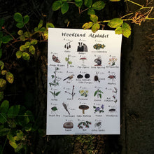 Load image into Gallery viewer, Woodland Alphabet print by Alice Draws The Line, printed on recycled paper, A4 or A3