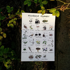 Woodland Alphabet print by Alice Draws The Line, printed on recycled paper, A4 or A3