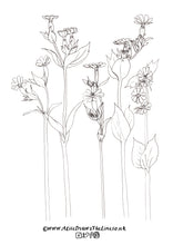 Load image into Gallery viewer, Wild flowers colouring in sheets