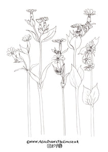 Wild flowers colouring in sheets