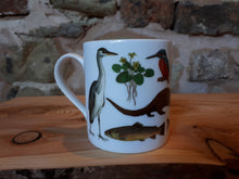 Load image into Gallery viewer, Rivers mug by Alice Draws The Line, river species illustrated on this China mu
