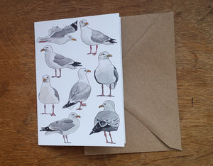 Seagull / Herring Gull greeting card, blank inside