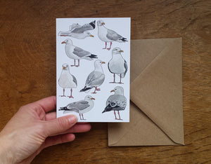 Seagull / Herring Gull greeting card, blank inside