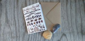 Seaside selection of cards by Alice Draws The Line, set of 3 greeting cards, printed on recycled card and blank inside