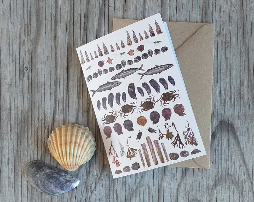 Seaside greeting card by Alice Draws The Line, seashore species card, blank inside