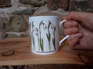 Snowdrop China mug by Alice Draws The Line