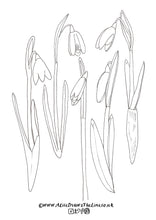 Load image into Gallery viewer, Snowdrops colouring in sheet
