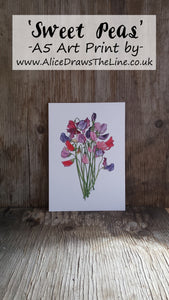 Sweet Pea art print by Alice Draws The Line, A5 botanical print on recycled card