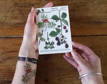 Load image into Gallery viewer, Tree, woodland and blackberry temporary tattoos by Alice Draws The Line