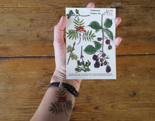 Load image into Gallery viewer, Tree, woodland and blackberry temporary tattoos by Alice Draws The Line
