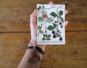 Tree, woodland and blackberry temporary tattoos by Alice Draws The Line