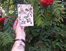 Load image into Gallery viewer, Tree, woodland and blackberry temporary tattoos by Alice Draws The Line