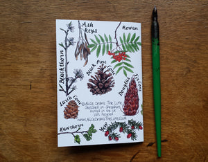 Tree Identification Birds Notebook by Alice Draws The Line, A6 with 36 plain pages, recycled paper