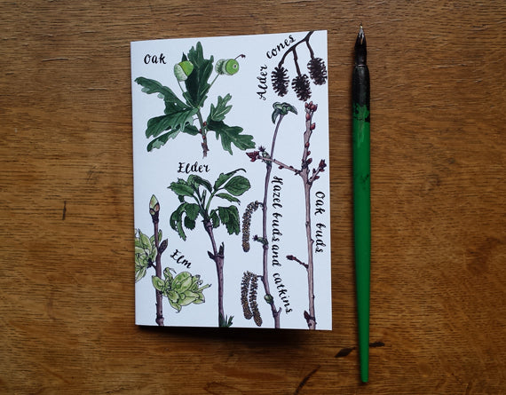 Tree Identification Birds Notebook by Alice Draws The Line, A6 with 36 plain pages, recycled paper