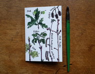 Tree Identification Birds Notebook by Alice Draws The Line, A6 with 36 plain pages, recycled paper