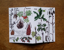 Load image into Gallery viewer, Tree Identification Birds Notebook by Alice Draws The Line, A6 with 36 plain pages, recycled paper