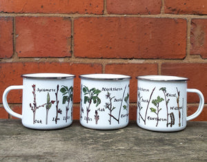 Twig Identification Enamel mug