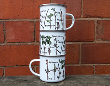 Load image into Gallery viewer, Twig Identification Enamel mug