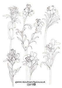 Garden flowers colouring in sheets