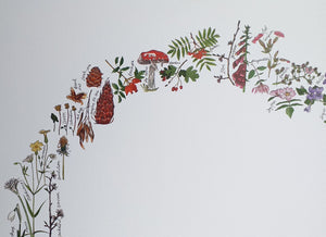 Woodland Rainbow print by Alice Draws the Line A3 print